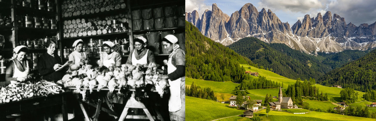 Bauer une très ancienne entreprise famillle Trentino