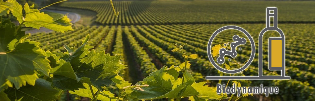 Développement des vins biodynamiques