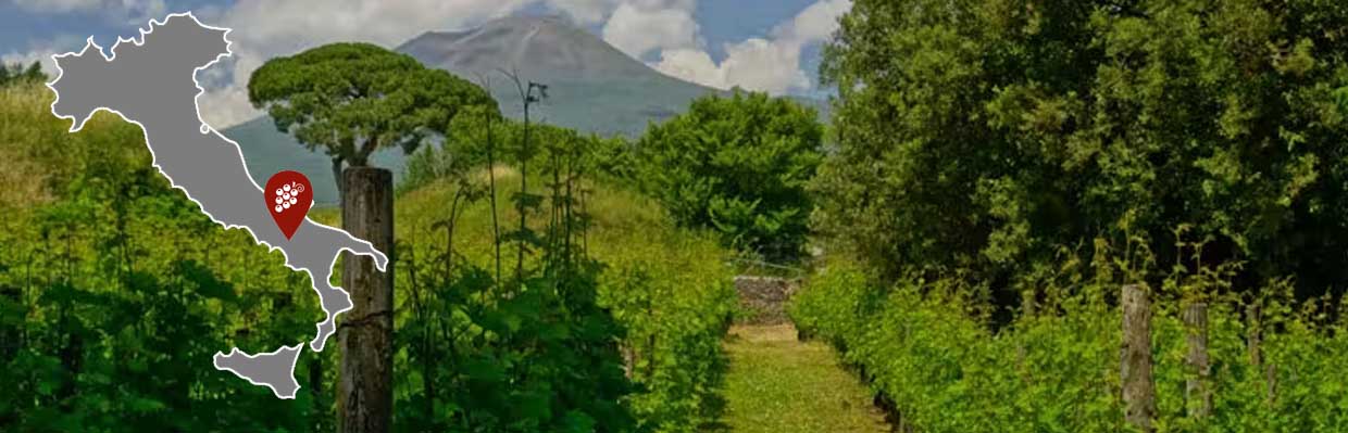 Aglianico Campanie